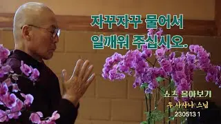 자꾸자꾸 물어서 일깨워 주십시오. : 쇼츠 몰아보기 사사나 230513 1