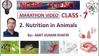 NUTRITION IN ANIMALS : CLASS - 7 : SCIENCE (MARATHON VIDEO)
