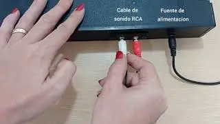C&oacute;mo conectar Freebox - hilo musical para centros educativos