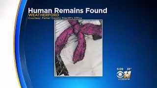 Hunters Find Human Remains In Parker County; Sheriff Suspects Foul Play