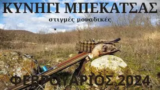 ΚΥΝΗΓΙ ΜΠΕΚΑΤΣΑΣ στιγμές μοναδικές ΦΕΒΡ.24-WOODCOCK HUNTING-CACCIA alla BECCACCIA-BECADA-ÇULLUK AVI