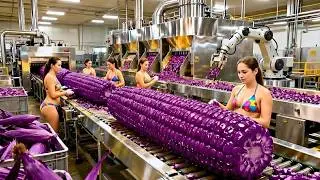 Inside America&rsquo;s Largest Factory: The Process Behind Purple Corn Butter Popcorn