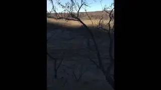 Beverly sand dunes