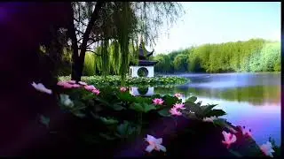 Nhạc Thiền Tĩnh Tâm – Không Lời, Không Nghĩ, Chỉ Bình An	 