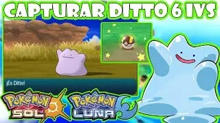 ★POKEMON SOL Y LUNA CONSEGUIR DITTO / CAPTURAR DITTO HABILIDAD OCULTA SHINY 6 IVS★