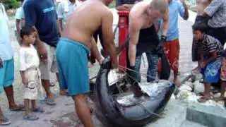 Dogtooth Tuna Spearfishing World Record: Why you need to have a certified scale