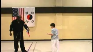 Karate combinations taught at the Digital Dojo