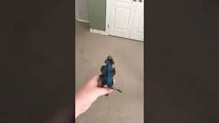 Yes