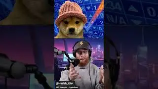 Dogwifhat is the Biggest #crypto MEME Coin this Year. 🔥 Las Vegas Sphere!  #shorts #memes #bitcoin