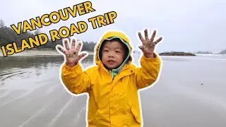 Epic Vancouver Island Day Trip 🚢 | Ferry to Nanaimo, Cathedral Grove, Taylor River & Tofino Beaches