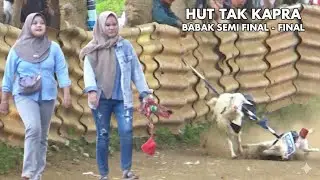 BABAK SEMI FINAL DAN FINAL KARAPAN KAMBING HUT TEAM TAK KAPRA