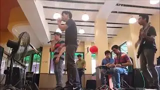 Babaero - Bloomfields cover