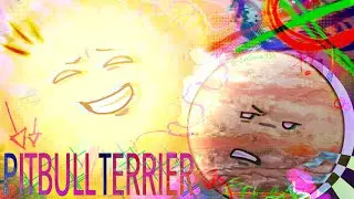 ꧁ PITBULL TERRIER | Solarballs Fan Animation | IB: rambyte & junedotzip ꧂