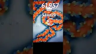 SNAKE.IO - 62 000 score 🐍