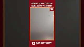 Dense Fog Covers Delhi-NCR, Zero Visibility #fog #delhifog #delhiwinter #zerovisibility #shorts