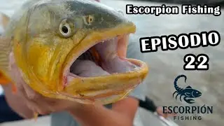 PESCA DE COSTA - RIO DE LA PLATA - Escorpion Fishing - Episodio 22