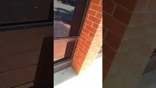 v00v 36 walk