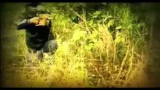 Waiakill - Bucay