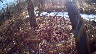 Sniper Observation