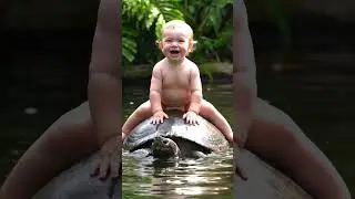 Baby Rides on Turtle and Floats in Water | Cute Animal Moment. #youtubeshorts