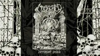▶ MISCREATED - Ayahuasca-☠(TRACK PREMIERE 2021)☠