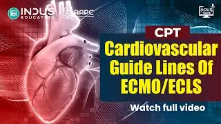 CPT Cardiovascular Guidelines of ECMO / ECLS | Medical Coding Explained | Indus Talks #indus #cpt