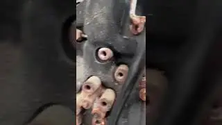 От вам і заробітки Авторозборка Хюндай Кіа Джиллі Черрі 0939338244