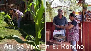 Bistec Con Papas Ranchero Con Salsa Roja Asi Se Vive En El Rancho