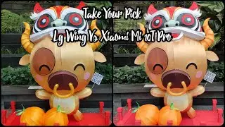 Lg Wing Vs Xiaomi Mi 10T Pro : Day Photo Shootout