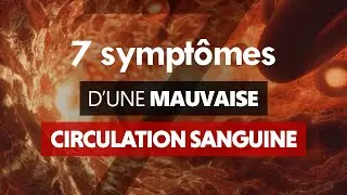 7 sympt&ocirc;mes d'une mauvaise circulation sanguine - Index Sant&eacute;