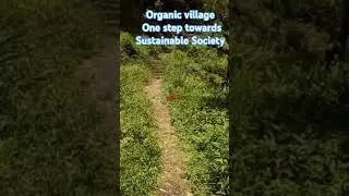 Sustainable livings Village Vibes #shorts #trending #sustainability