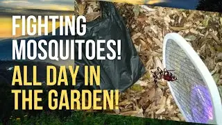 A Day in the Garden Fighting Mosquitoes! Mosquito Racket VS Thousands of Mosquitoes