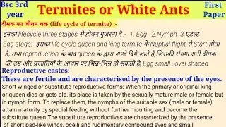 Lifecycle of termites | Most Important Question || Vectors & Pests Bsc 3rd year | Zoology 1st paper