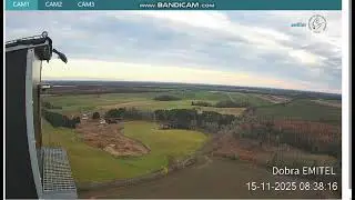 EMITEL Dobra PL - Titmouse visited the nest, maybe the falcons will also honor us-2025 11 15 08 38