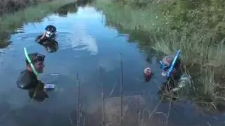Gator in the Swamp Feat. Manny Puig