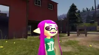 Derpy Inkling vs MeeM