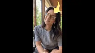 Review FEISEDY Classic Women Sunglasses Champagne