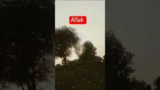 #beautiful #quran #best #reaction #reels #voiceeffects #youtubeatomation #new movie#dubbing
