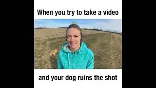 When you try to take a video and your dog ruins the shot! | The Furry Kiddos