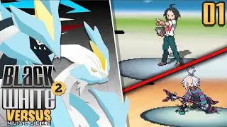 Who Has the Best Start in Our Nuzlocke Race?!