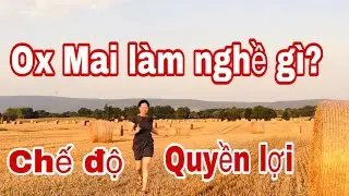 CHỒNG MAI LÀM NGHỀ GÌ/THU NHẬP/LẦN ĐẦU RA MẮT GD MAI/THÔN QUÊ NƯỚC PHÁP/MAI LE CUỘC SỐNG Ở PHÁP 🇫🇷
