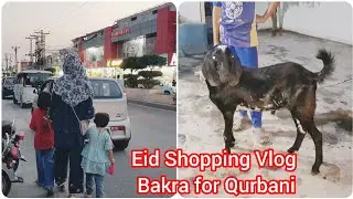Eid Shopping Vlog 2025 🛍️ | Bought Our Qurbani Bakra 🐐 | Eid-ul-Adha Preparations!