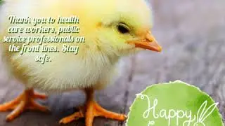 Have a Happy and safe Easter