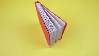 Book Library History Literature | Free No Copyright Video