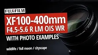 Fujifilm 100-400 Zoom | The Best Lens That I Will Never Buy (photo examples)
