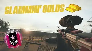 How a GO4 CHAMPION Slams golds