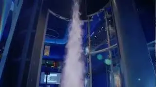 Reactions / ANIMAL INSIDE OUT (:30) MSI Commercial