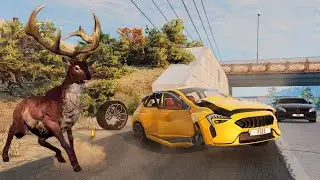 6 Wild Animals Attacking Parked Cars | [BeamNG.Drive]