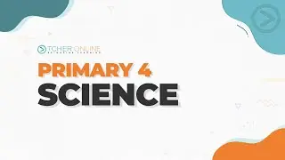 Definition of Light? | P4 Science | TCHER Online