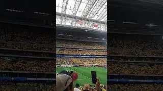 Copa America 2024 NRG Stadium Colombia vs Paraguay